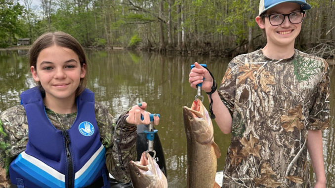 bowfin