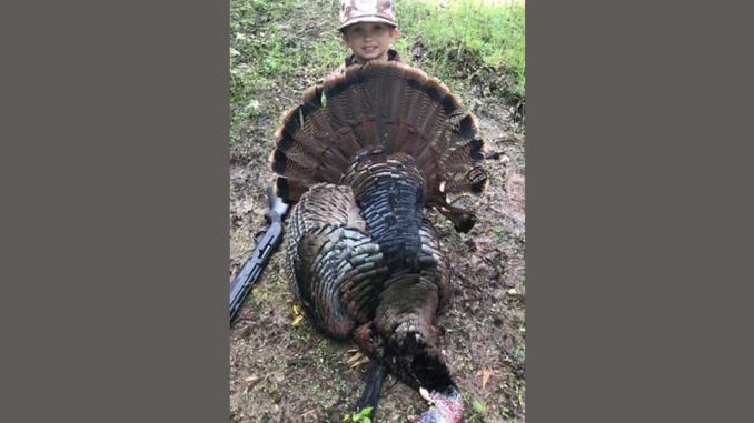 double-bearded gobbler