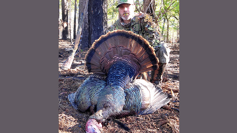 Sammy Allen tagged out of the 2023 NC turkey hunting season with two public land gobblers in Richmond County.