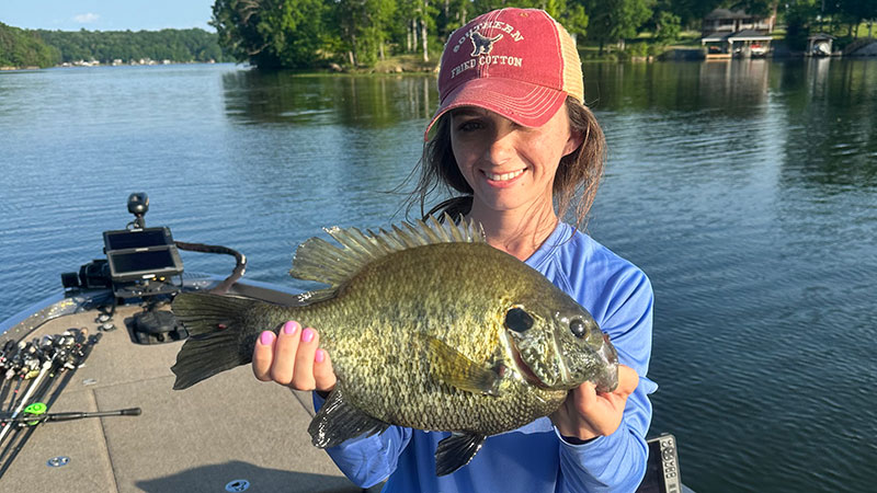 Tessa Vanover caught this 2.8-pound shellcracker at Lake Tillery, NC on May 11, 2023.