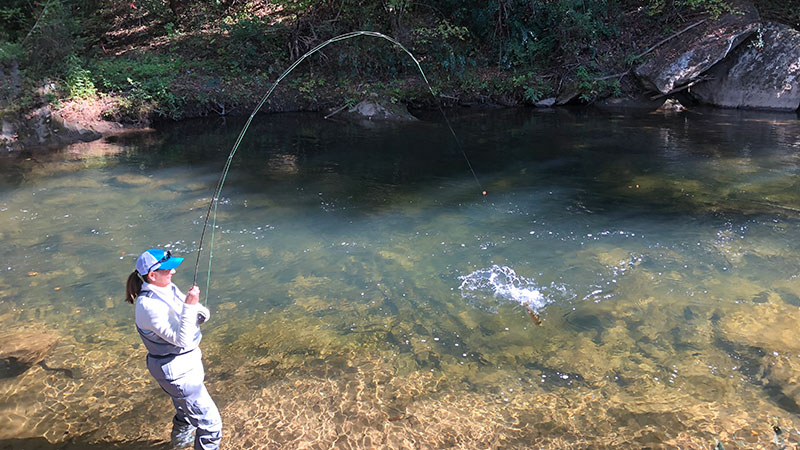 Chattooga River