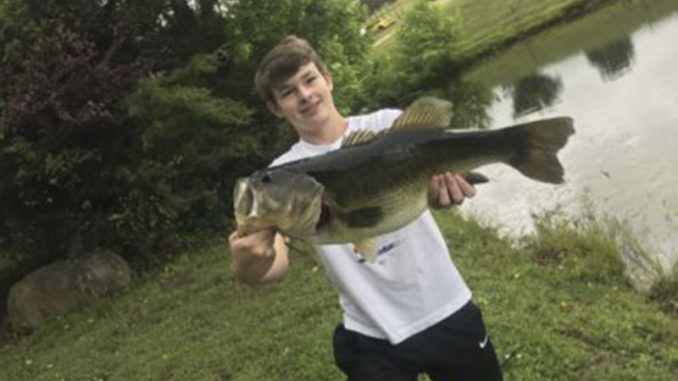 bass