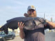 channel catfish