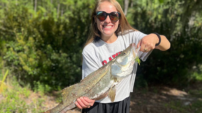 snook