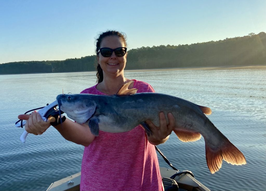 Dallas Brooks from Siler City, NC caught this nice channel cat with fresh cut bait while fishing at Jordan Lake on Aug. 12, 2023.