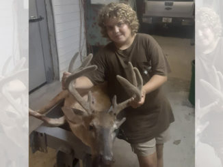 13-point buck