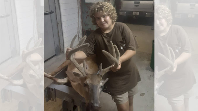 13-point buck
