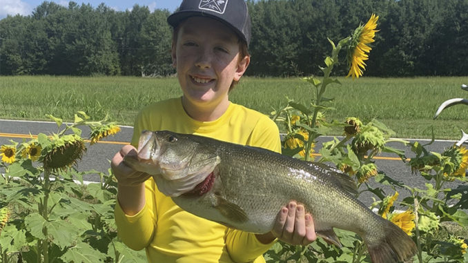 bass