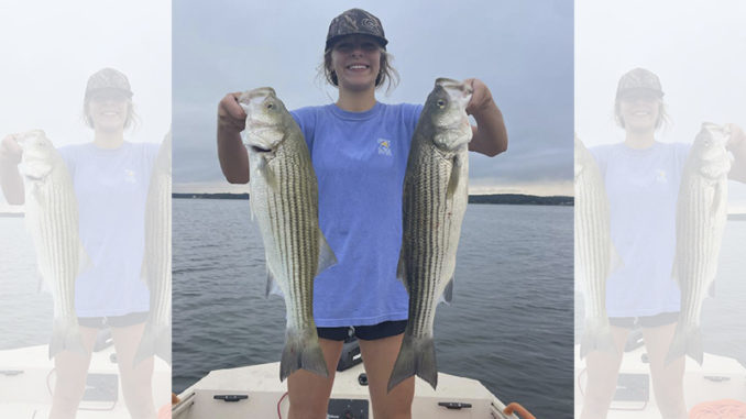 Wateree
