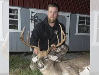 Alamance County buck