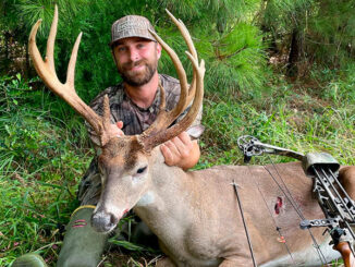 13-point hammer