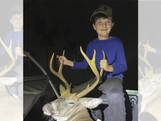 7-point buck