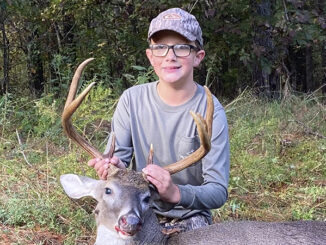 Fairfield County buck