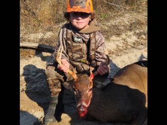 first buck
