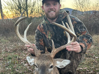 9-point buck