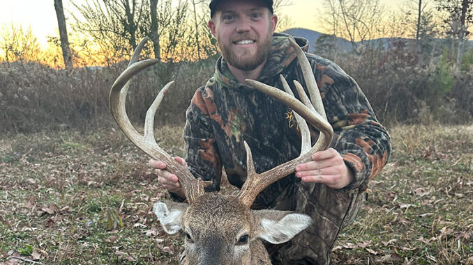 9-point buck