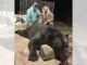 657-pound bear