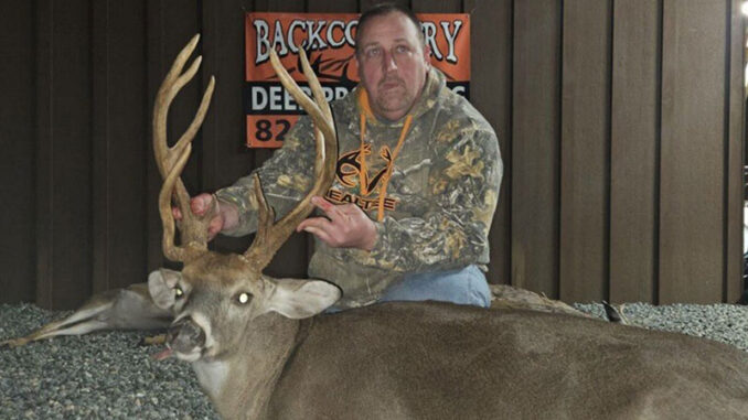 11-point