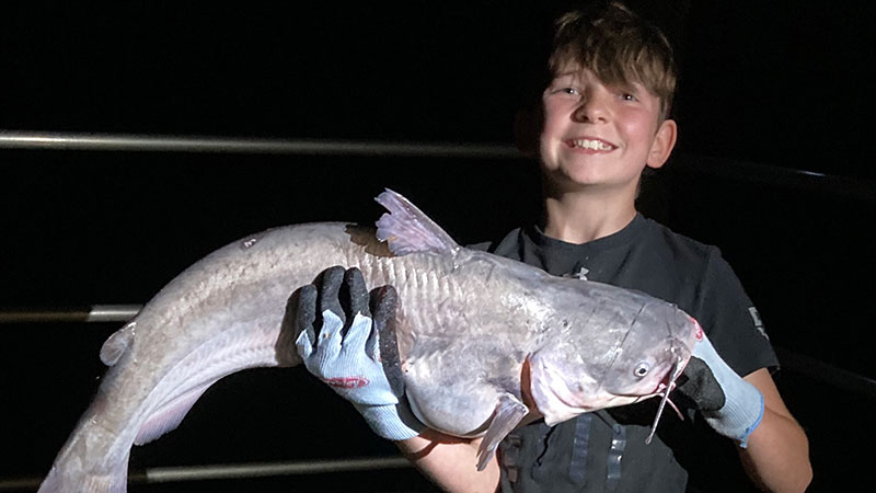 Camdyn Adams blue caught this catfish from the Santee Copper lakes in October.