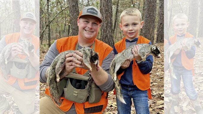 fox squirrel