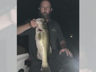 bass