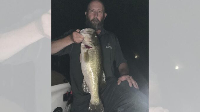 bass