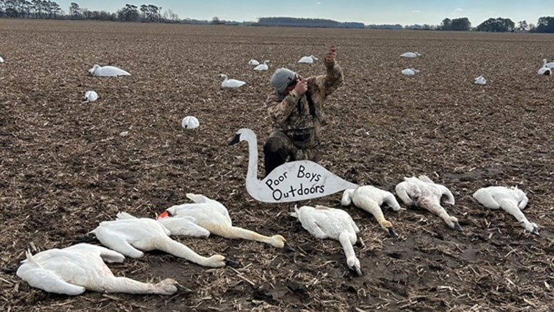 Poor Boys Outdoors had seven hunters limit out in Beaufort County, NC within 3 hours on Jan. 19, 2024.