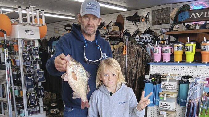 white perch