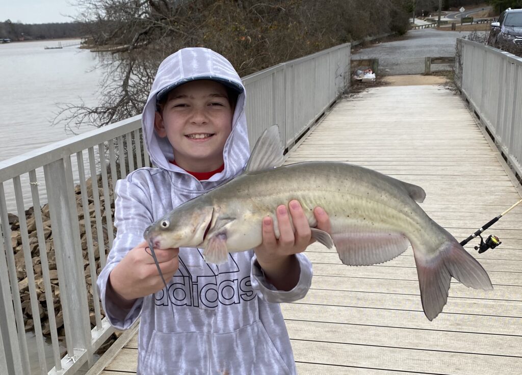 catfish
