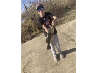 bass