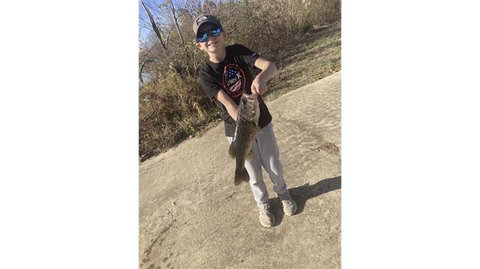 bass