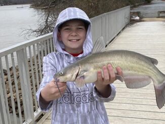 catfish