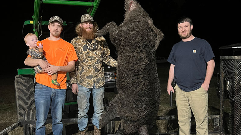 Hunter Singletary and Richard Simerly were hunting in Ridgeville, SC when they killed this giant hog, which weighed 520+ pounds.