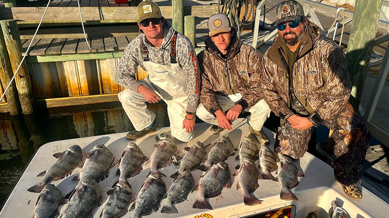 black drum