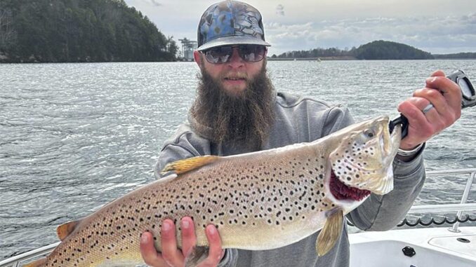 trout