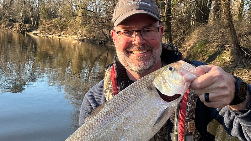 I caught this American shad Near Greenville, NC on Valentines Day, Feb. 14, 2024.