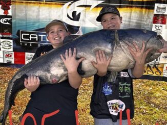 catfish