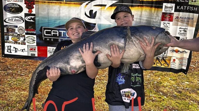 catfish