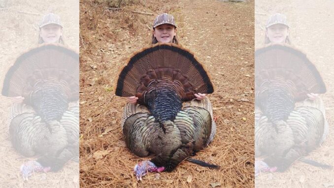 turkey