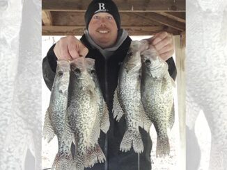 crappie