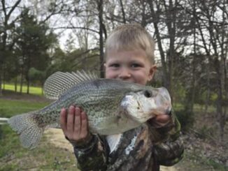 catch of the day