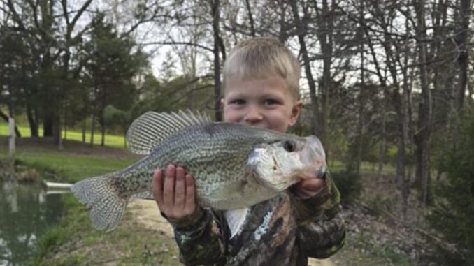 catch of the day