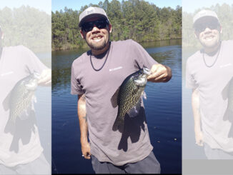 crappie