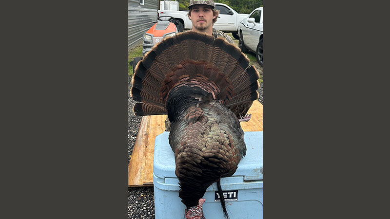 Ethan Kirby killed a 23-pound, Horry County gobbler during the 2024 turkey hunting season. The bird had a 12.5-inch beard.