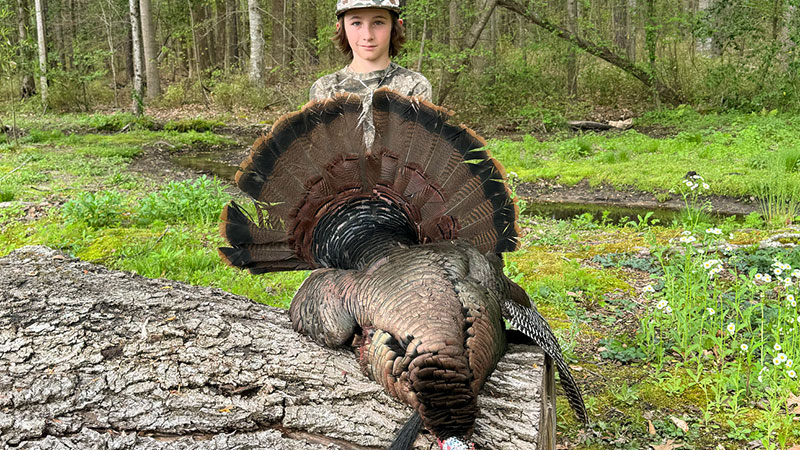 Hudson Evans, 12 years old from Rocky Hock, NC, killed this gobbler on April 10, 2024. The tom had a 10.5-inch beard.