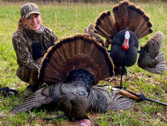 gobbler