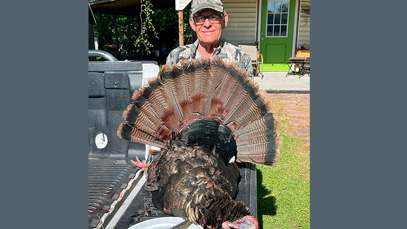 Steve DeVane killed this big gobbler in Duplin County, NC. The bird had an 11-inch beard and 1-inch spurs. 