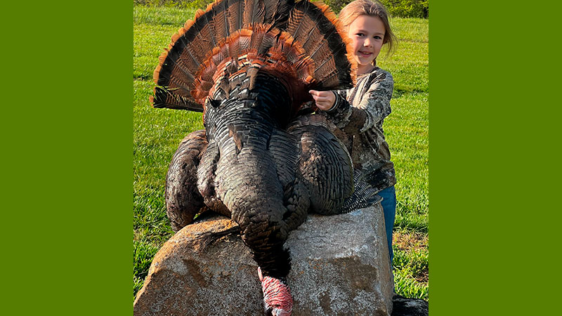 Six-year-old Olivia Hardin, 6-years-old, killed this gobbler on April 8, 2024 in Rutherford County, NC with a Stevens .410 shooting TSS ammo.