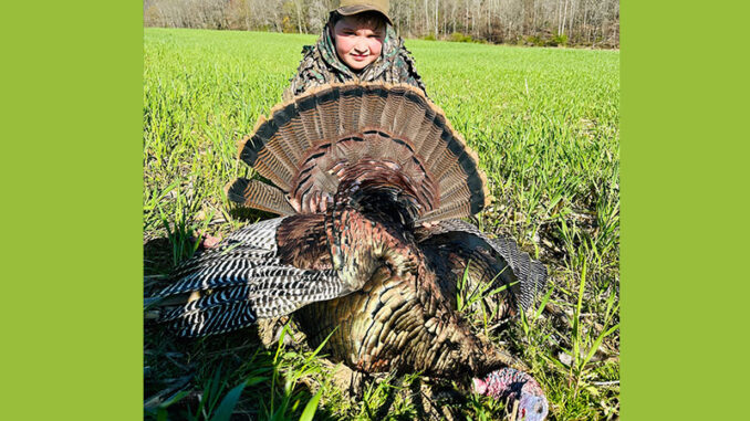 gobbler