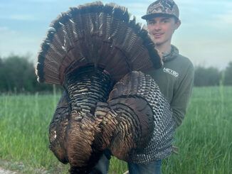 turkey
